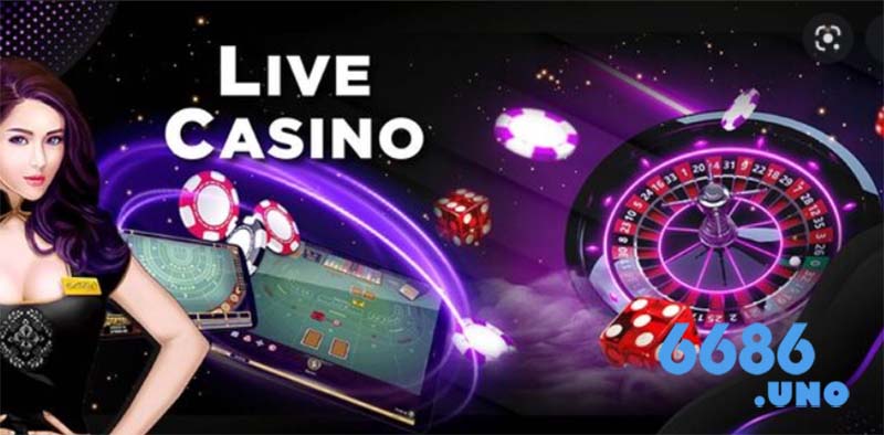 live casino 6686