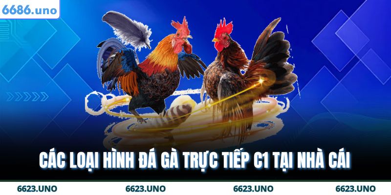 Đá Gà Trực Tiếp C1 - Nơi Diễn Ra Các Trận So Tài Máu Lửa 3 Các loại hình đá gà trực tiếp c1 tại nhà cái