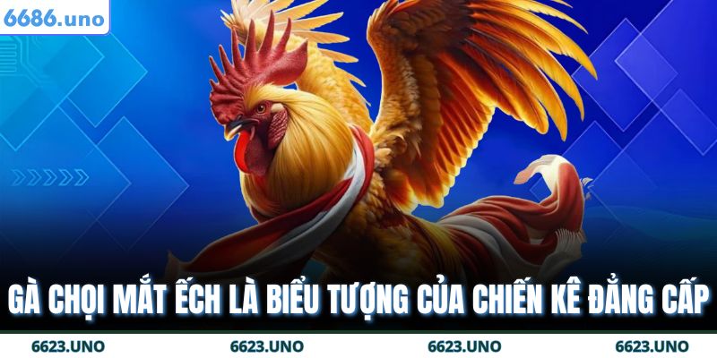 Gà Chọi Mắt Ếch – Chiến Kê Bất Khả Chiến Bại Tại 6686 2 Gà chọi mắt ếch là biểu tượng của chiến kê đẳng cấp