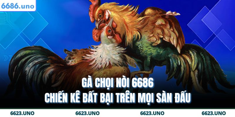 Gà Chọi Nòi 6686 – Chiến Kê Bất Bại Trên Mọi Sàn Đấu 1 Gà chọi nòi 6686