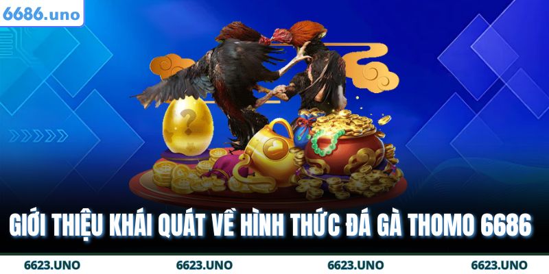 Đá Gà Thomo 6686 - Nền Tảng Cá Cược Trực Tuyến Tin Cậy 2 Giới thiệu khái quát về hình thức đá gà Thomo 6686