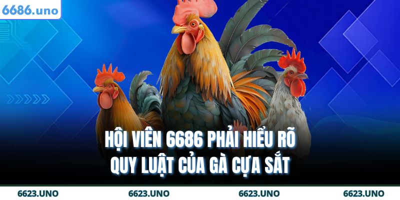 Đá Gà Cựa Sắt 6686 | Thách Thức Những Chiến Binh Huyền Thoại 4 Hội viên 6686 phải hiểu rõ quy luật của gà cựa sắt