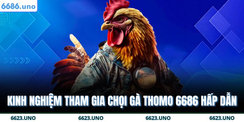 Đá Gà Thomo 6686 - Nền Tảng Cá Cược Trực Tuyến Tin Cậy 4 Kinh nghiệm tham gia chọi gà Thomo 6686 hấp dẫn
